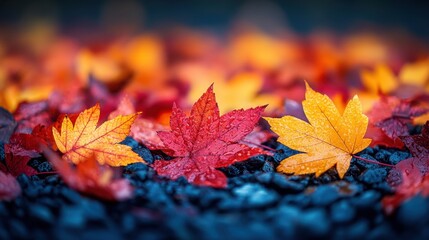 Wall Mural - A scene of different colored autumn leaves scattered randomly on the ground, with no clear arrangement, showcasing natural beauty