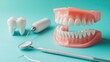© arthit - A close-up of dental care tools and a plastic teeth model, artistically arranged on a blue background, ideal for promoting dental hygiene and clinic services.
