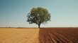© Jiranun - A tree stands in the middle of the wide open land. The left side is green. Fertile and the right bank is brown and barren, environmental problems