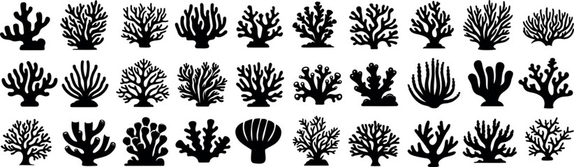 Wall Mural - coral silhouettes set, marine flora, ocean botanical elements, diverse coral species, sea reef shape