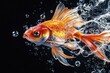 © tydeline - Golden Fish with Bubbles