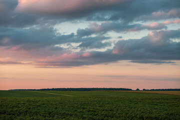Wall Mural - Gorgeous textured clouds over farmland and cultivated fields.