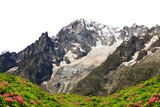 Fototapeta Koty - Mont Blanc ( Monte Bianco ) mountain range isolated on a transarent PNG background.