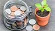 © ADD PHOTO - Coins in Jar with Growing Plant in Pot