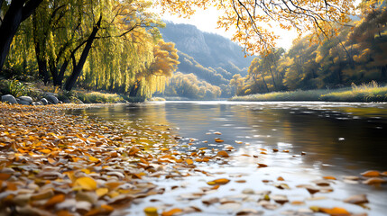 Korean ancient river with ginkgo trees forest