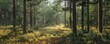 © Coosh448 - Quiet forest glade with a carpet of pine needles, 4K hyperrealistic photo,