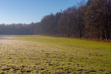 Winter landscape, Freezing frost or snowflakes on the grass field and forest, Slope hillside with green meadow under blue sky and warm morning sunlight, Countryside of Netherlands, Nature background