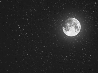 Wall Mural - black and white full moon