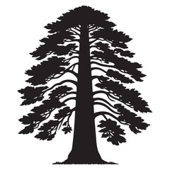 Redwood Tree Vector illustration in black and white - Sequoioideae Plant Silhouette Design
