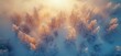 © tono boys - Aerial view of snow-covered forest in golden light at dawn.