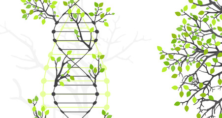 Aufkleber - Scientific medical background with abstract image of dna molecule and tree branches. Hand drawn vector illustration.