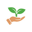 © Mubeen - Eco care symbol. Human hand with green plant flat vector design on white background