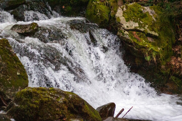 waterfall in the forest