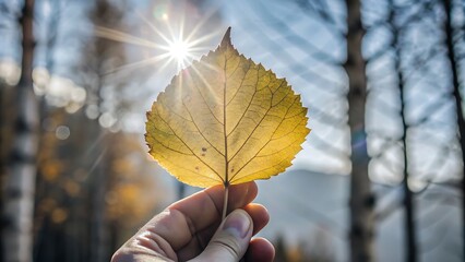 Wall Mural - leaves in hand