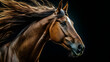 © The Origin 33 - Majestic horse with flowing mane against dark background, exuding grace and power