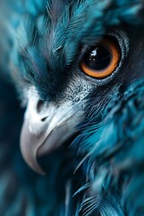 Wall Mural - close up of an eagle's eye with striking blue feathers