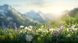 Serene wildflower meadow at sunrise in the mountains