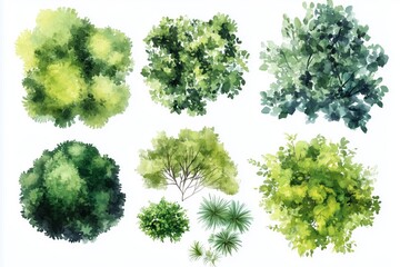 Various green trees, bushes and shrubs, top view for landscape design plan. Vector watercolor illustration, isolated on white background. 