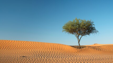 Single, one tree in the desert. Illustration generated by ai