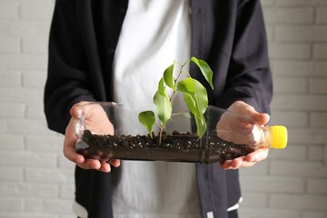 Recycling concept. Woman holding plastic bottle with growing plant against white brick wall, closeup