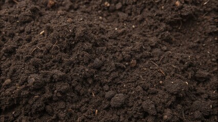 Close-up of rich black soil, showcasing its texture and grains, ready for planting in a fertile landscape.