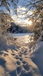 © Noah - A snowy landscape with deep, snow-covered ground, bathed in the golden glow of sunrise