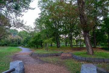 北海道　中島公園の風景