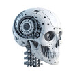 © Dearr - 3d rendered illustration of a skull AI robot intelligent brain