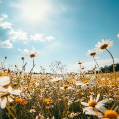 Poster - Uplifting nature quote with a background of a meadow full of wildflowers under a bright blue sky, perfect for Facebook.