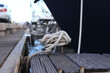 © Mariia - Mooring post, a mooring knot on a yacht pier. The yacht's mooring ropes are attached to the knecht. Knecht on the deck on the pier for fastening ropes. Knecht for mooring and fastening ropes