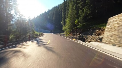 Wall Mural - Driving car on a mountain road. road Trip. car driving through green forest.