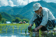 © mankjon - Elderly Farmer Planting Rice in Lush Green Fields Against Mountainous Backdrop on a Bright Day, Reflecting Traditional Agriculture in a Scenic Rural Landscape