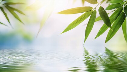 Canvas Print - Bamboo leaves over calm water