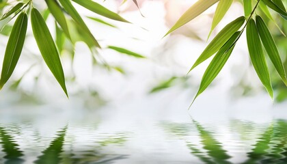 Canvas Print - Green bamboo leaves over water