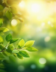 Fresh green leaves in sunlight