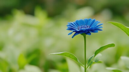 Sticker - A vibrant blue flower stands out against lush green leaves, captured in a soft, dreamy background.