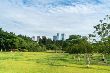 Beautiful panorama of green city park