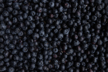 Fresh blueberries as a background. Top view. Close up.