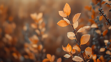 Brown plant leaves in autumn season, brown background