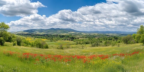 Canvas Print - Idyllic mountain landscape with fresh green meadows and blooming wildflowers. Idyllic nature countryside view, rural outdoor natural view. idyllic banner nature, panoramic spring summer scenery  