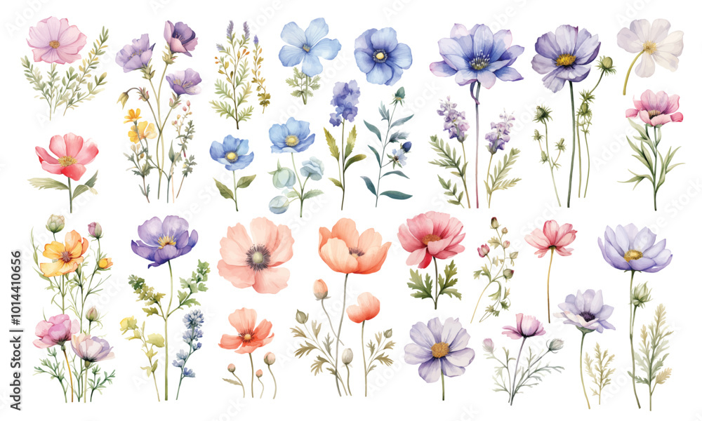 Watercolor wild flowers hand drawn floral illustration set on white ...