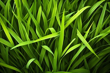 Canvas Print - Green Grass Blades Macro