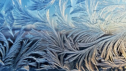 Wall Mural - Intricate frost patterns on glass, showcasing nature's delicate artistry.