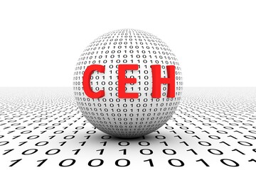 Wall Mural - ceh conceptual sphere binary code 3d illustration