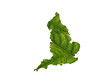 © Hammad - England map made of green leaves ecology concept