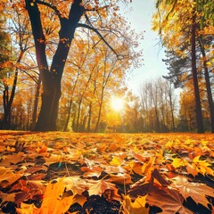 Wall Mural - Vibrant Autumn Forest with Fallen Leaves