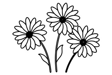 
daisy flower silhouette vector, daisy flower outline vector illustration
