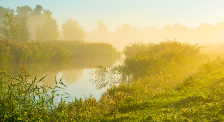 The edge of a lake in a morning mist at sunrise,  Almere, Flevoland, The Netherlands, October 5, 2024