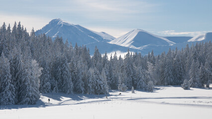 Poster - Plateau de l'Arselle à Chamrousse, domaine nordique en hiver, neige, ski de fond, paysage de montagne, Alpes