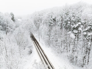 Wall Mural - Winter forest after a snowstorm in Poland.